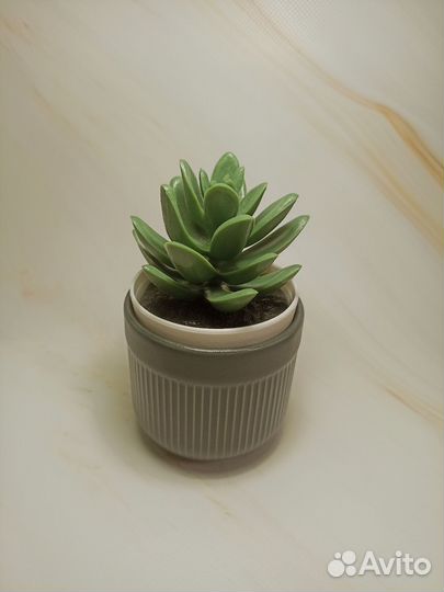 Кашпо маленькое IKEA