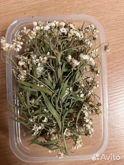 Цветы сухоцветы