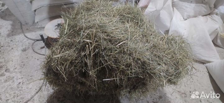 Сено в тюках