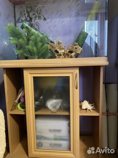 Аквариум (с украшениями) и тумба под аквариум