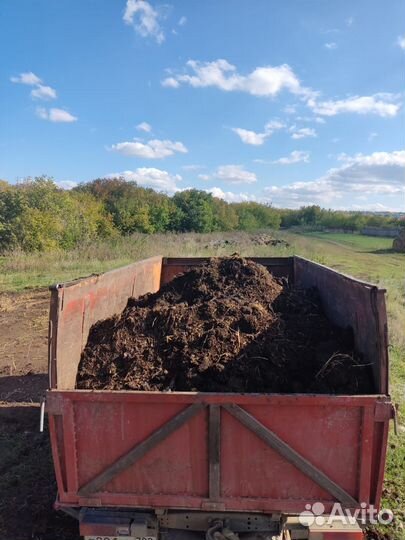 Перегной навоз