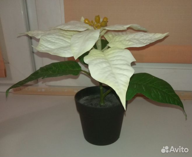 Рождественский цветок Fejka икеа
