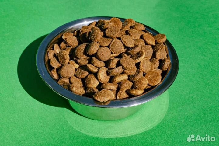 Корм для собак. Primero. Сухой. Лосось с индейкой