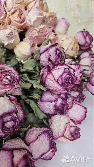 Сухоцветы розы