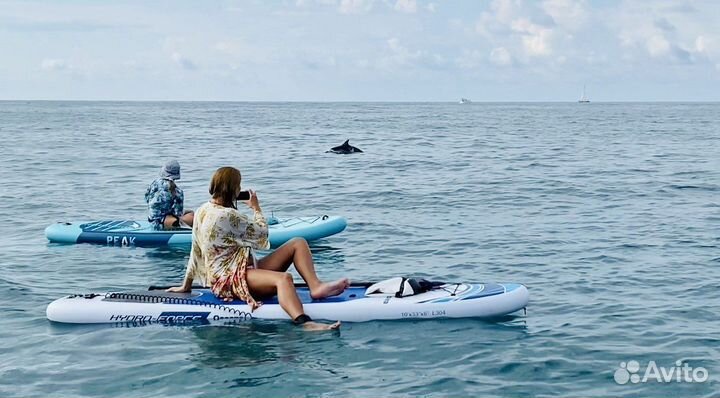 Прокат сапбордов, Аренда, саптуры к дельфинам