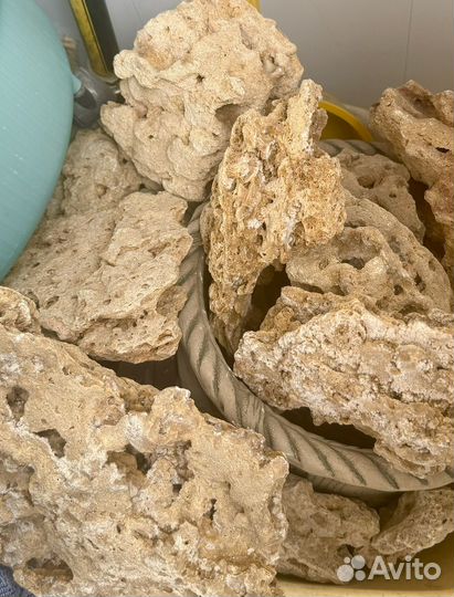 Аквариум с тумбой (320 литров)