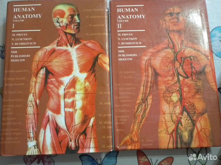 Anatomy book (prives)
