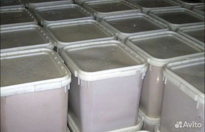 Свежий мед 2023 года с доставкой