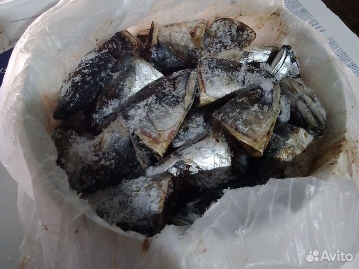 Корма для животных