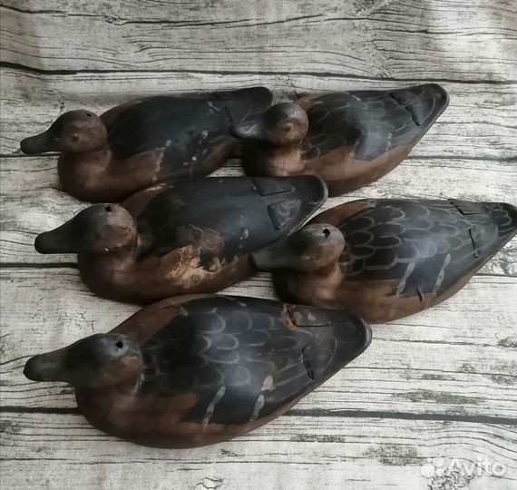 Резиновая утка набор