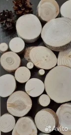 Спилы деревьев