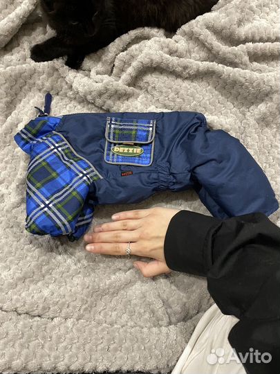 Одежда для маленьких собак