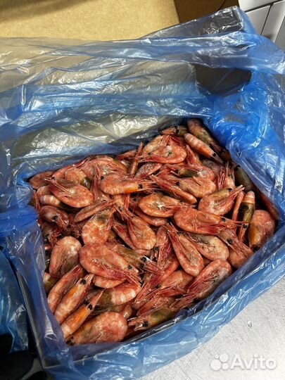 Креветка северная 90/120 - 2,5 кг коробка