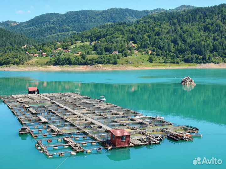 Турне в Сербию 6 ночей