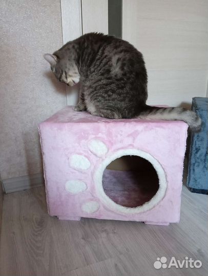 Домик для кошки собачки