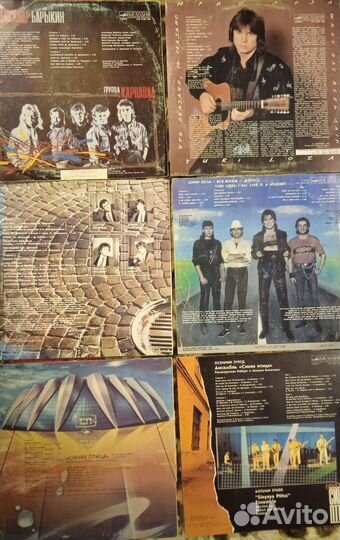 Песняры, Верасы, Весёлые ребята, Синяя птица, Лоза