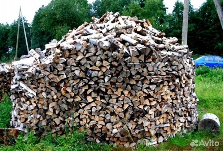 Дрова осина
