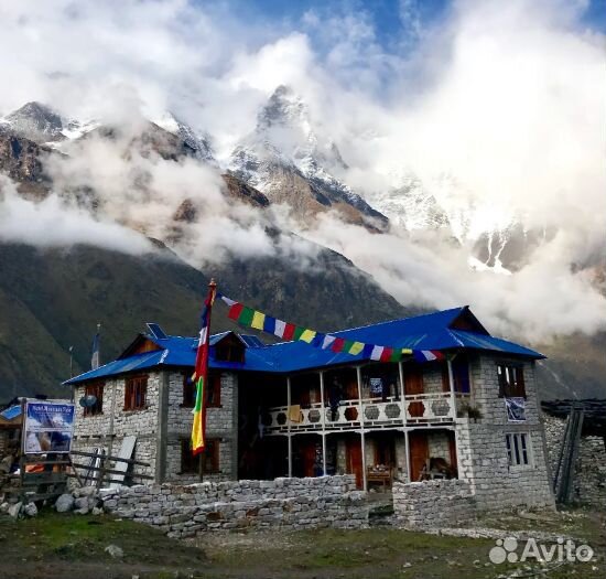 Авторский тур в Непал. Цветущие рододендроны