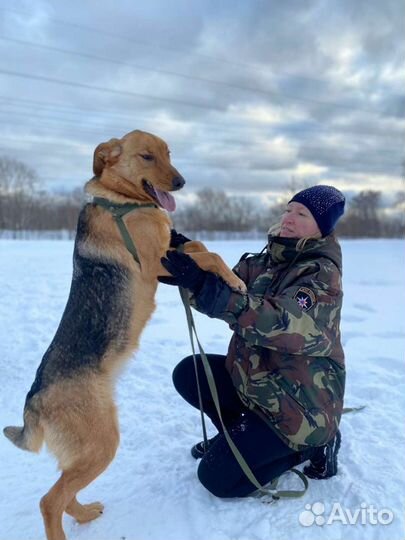 Баффи,около 3х лет