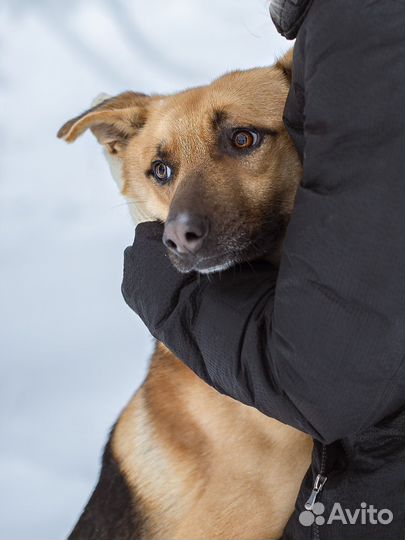 Локи очень одиноко в приюте