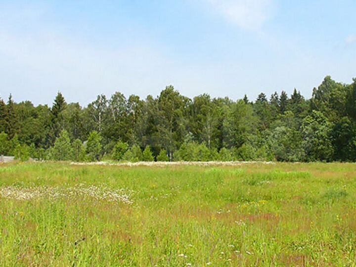 Участок 25 сот. (ИЖС)