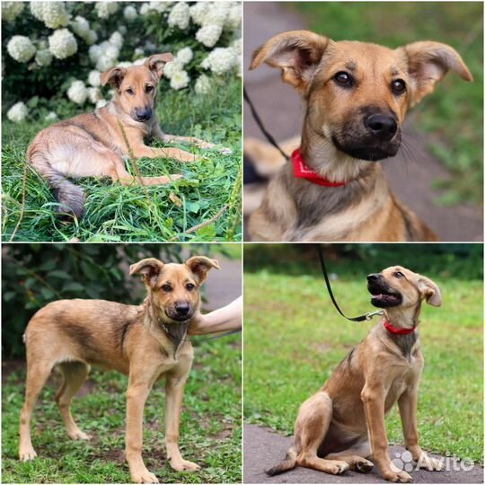 Подросток девочка