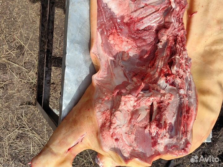 Продам мясо свинина