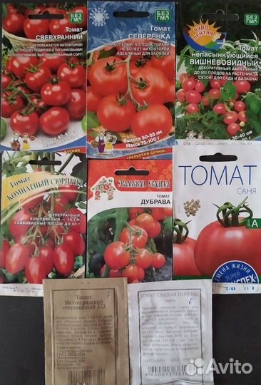 Рассада томатов,патиссонов,дыни, арбузов