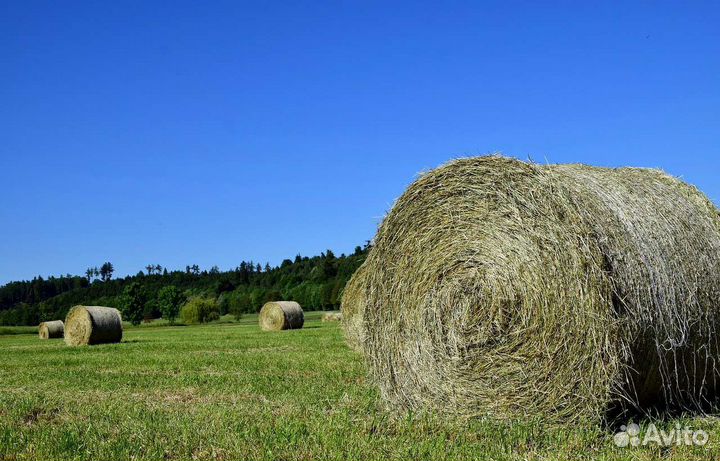 Сено в рулонах