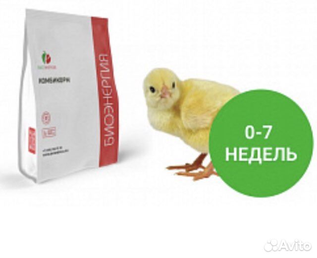 Профессиональный комбикорм пк2 Премиум класса