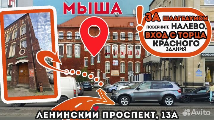 Надежный Монитор Miro для работы и дома