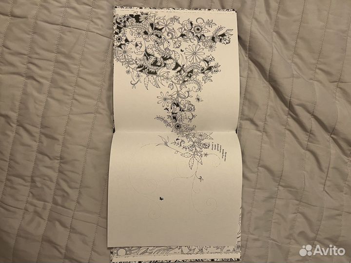 Книга раскраска антистресс Таинственный сад