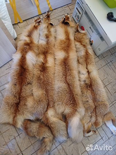 Шкуры лисы