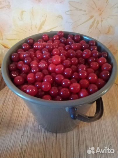 Вишня 1л-150р