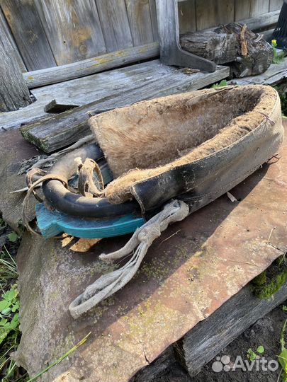 Хомут для лошади