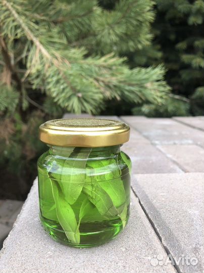 Варенье из сосновых шишек