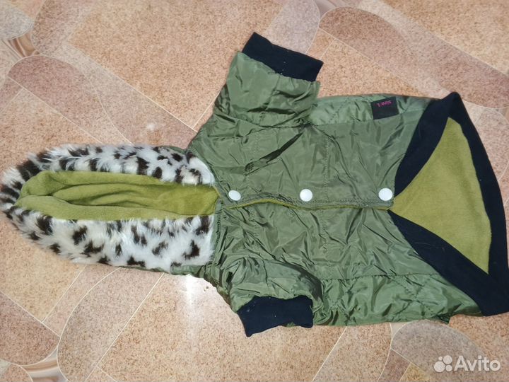 Вещи для маленьких собак