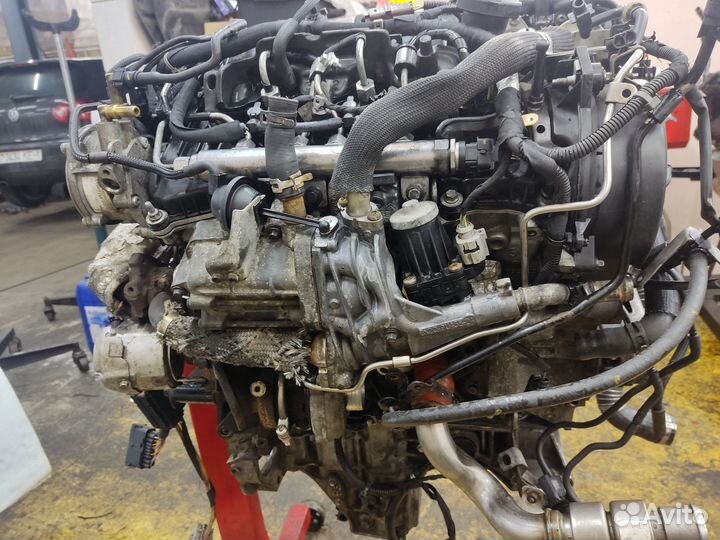 Land-Rover Discovery, 3.0 л, дизель