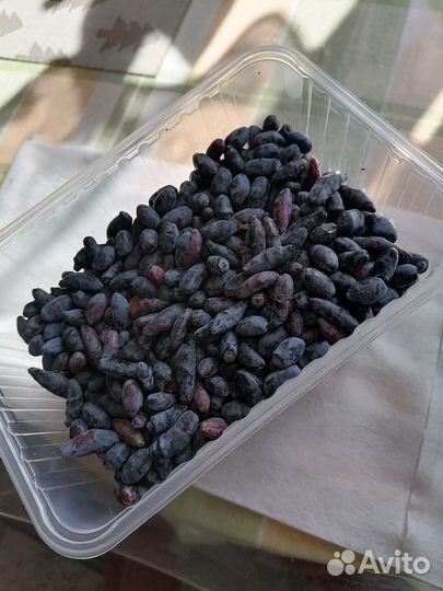 Жимолость ягоды