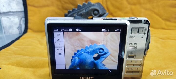 Sony DSC-G1 с примерами фото