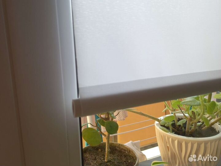 Жалюзи и рулонные шторы на окна