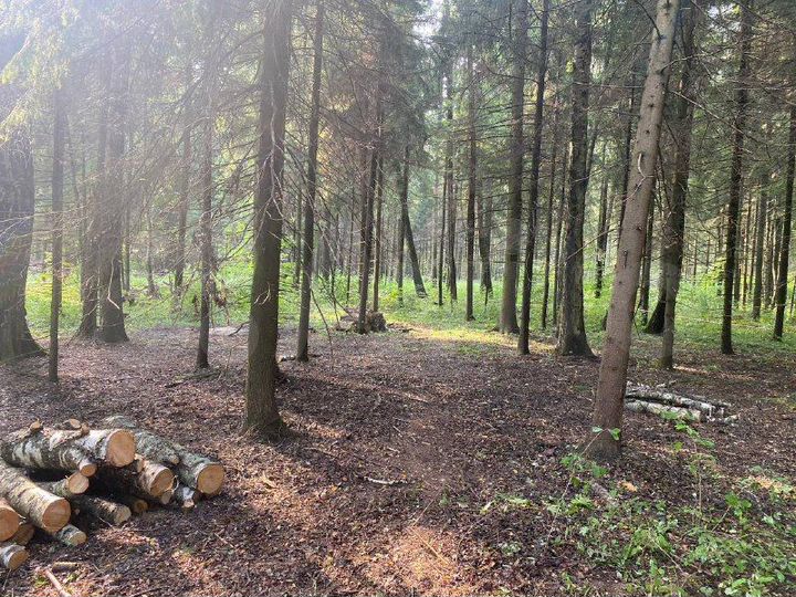 Дом 108 м² на участке 10,5 сот.