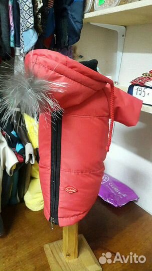 Одежда для собак кошек 