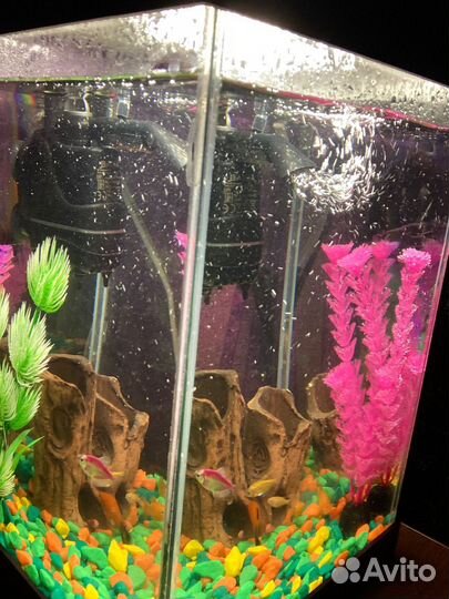 Аквариум с рыбками