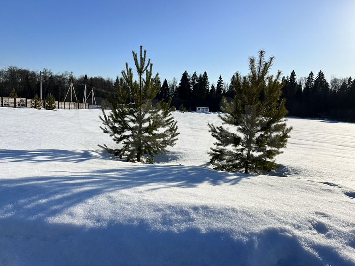 Участок 8 сот. (ИЖС)