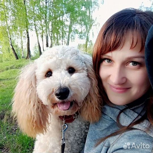 Выгул собак