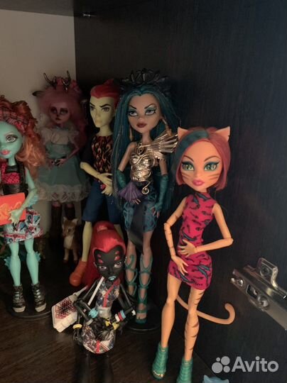 Куклы monster high