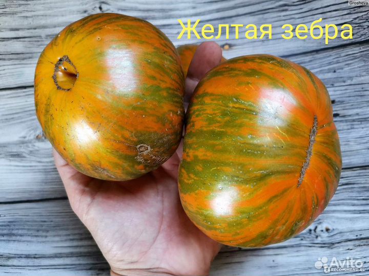 Семена томатов экзотов