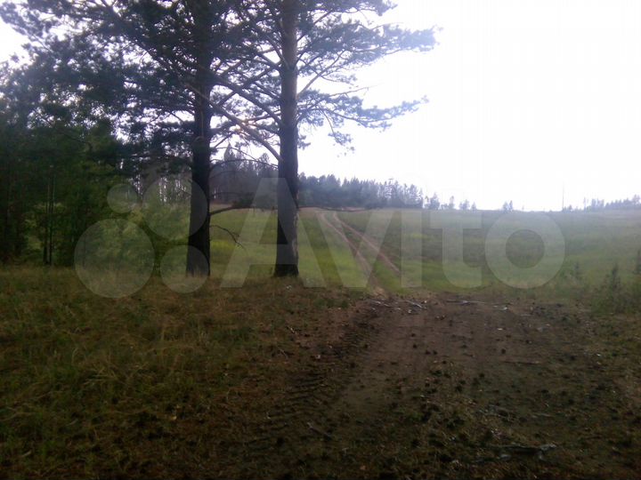 Участок 5,2 га (СНТ, ДНП)