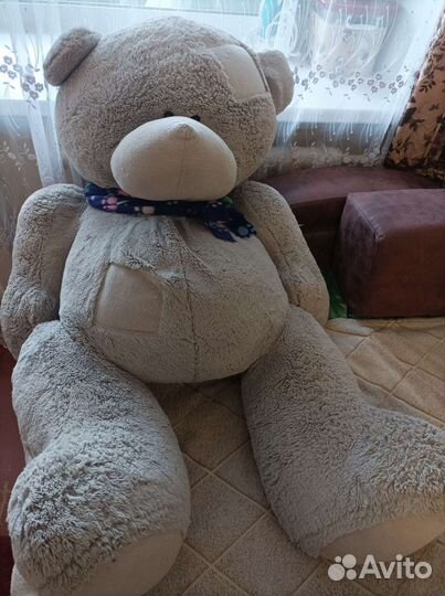 Плюшевый медведь